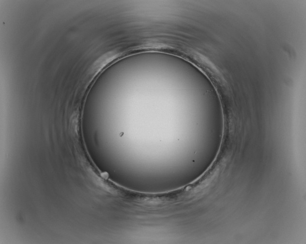 X0000112401177200908141333