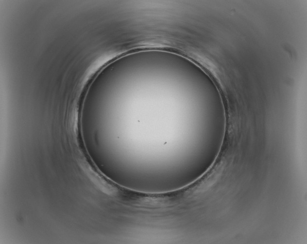 X0000112401179200908141333