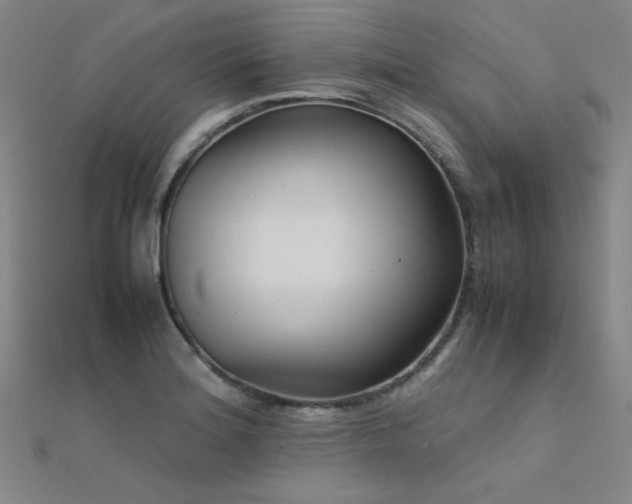 X0000112401180200908141333