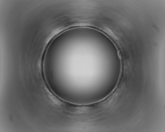 X0000112401181200908141333