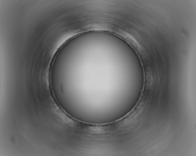 X0000112401182200908141333