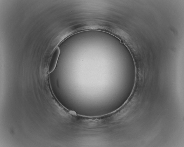 X0000112401185200908141332