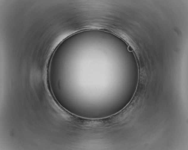 X0000112401187200908141332