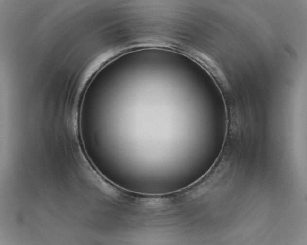 X0000112401188200908141332