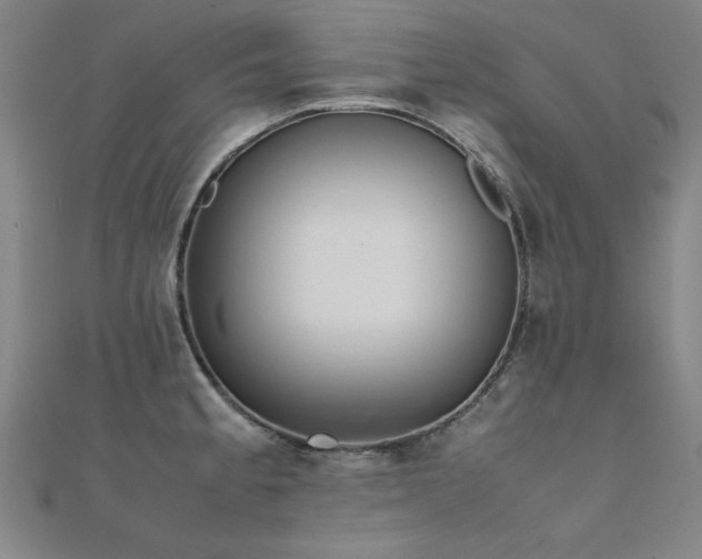 X0000112401189200908141332