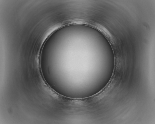 X0000112401190200908141332