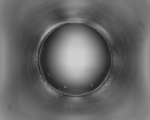 X0000112401192200908141332
