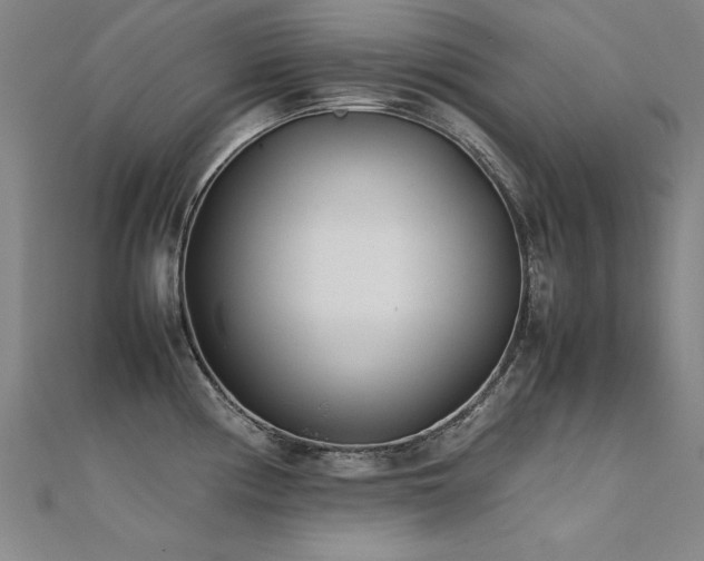 X0000112401194200908141332