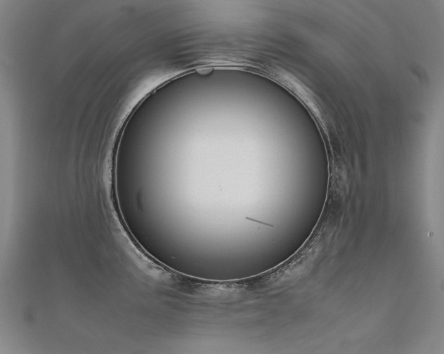 X0000112401195200908141332