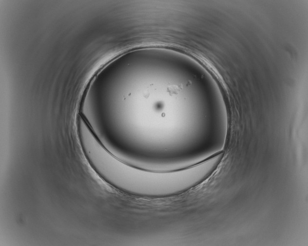 X0000112401197200908141332