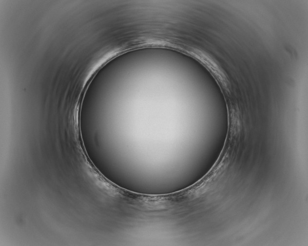 X0000112401198200908141332