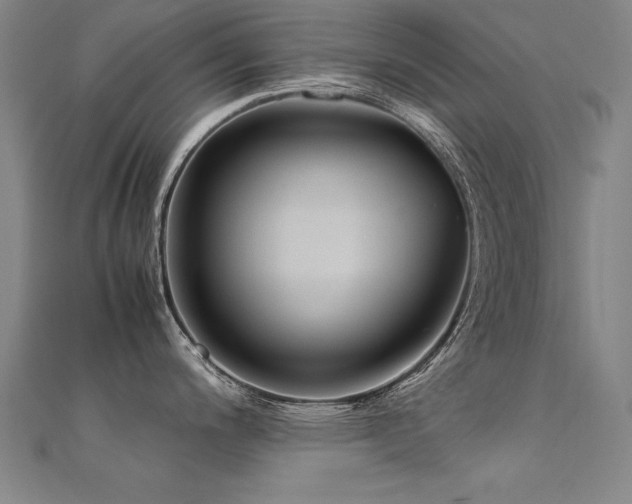 X0000112401200200908141332