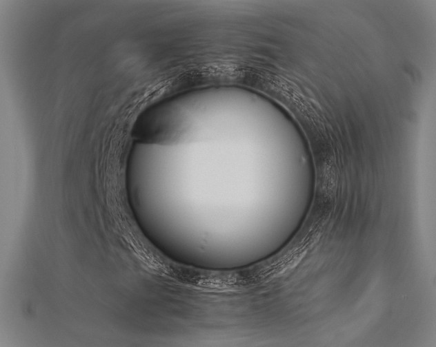 X0000112401201200908141332