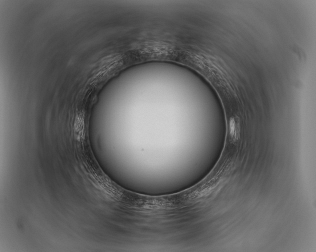 X0000112401203200908141332