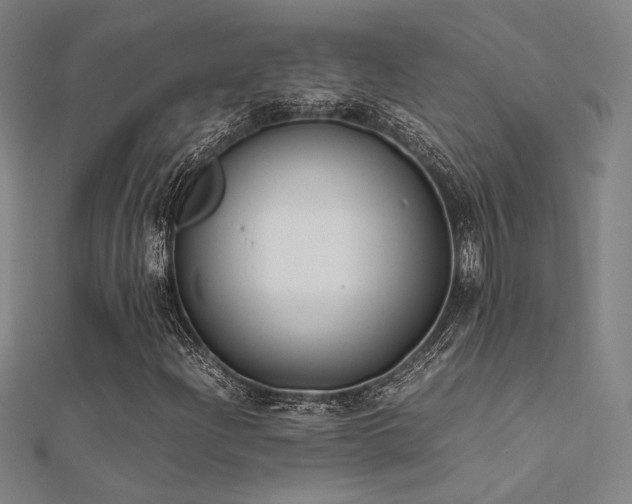X0000112401204200908141332