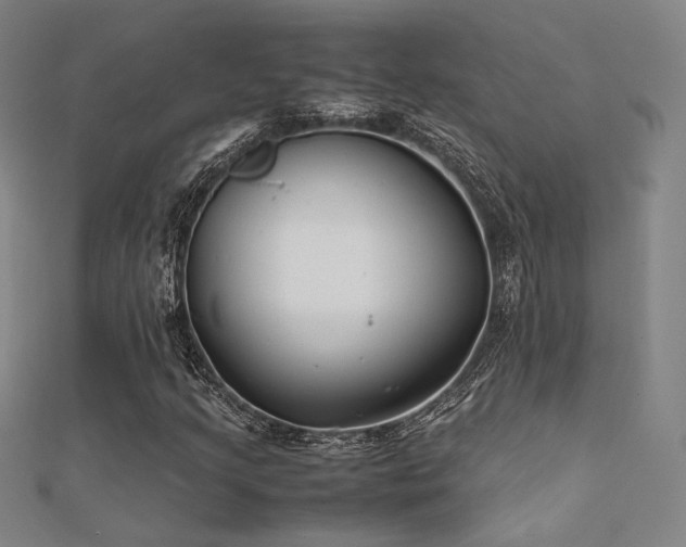 X0000112401205200908141332
