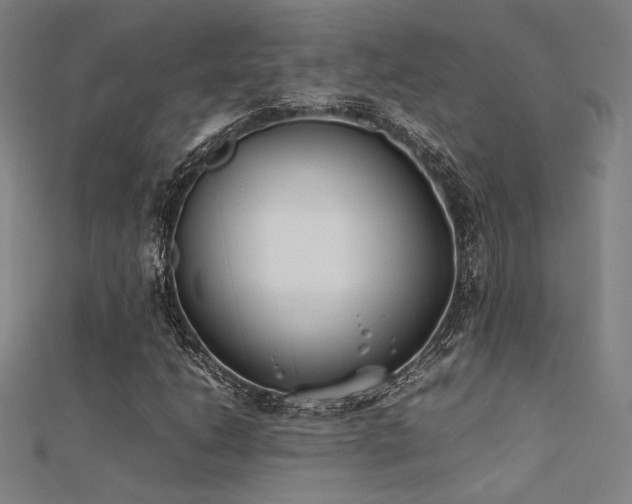X0000112401206200908141332
