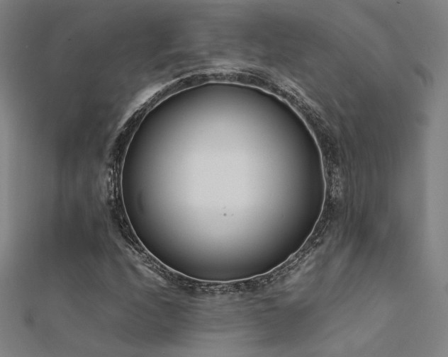 X0000112401208200908141332