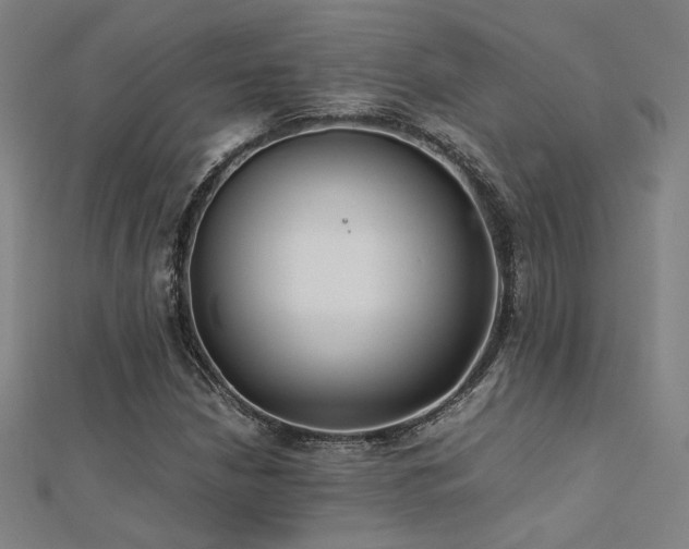 X0000112401210200908141332