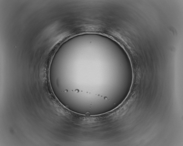 X0000112401211200908141332