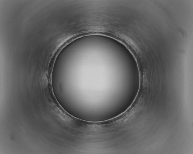X0000112401212200908141332