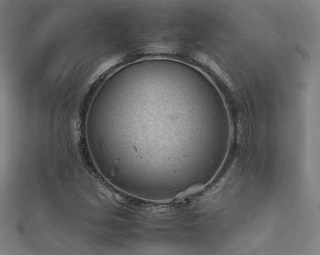 X0000112401213200908141332