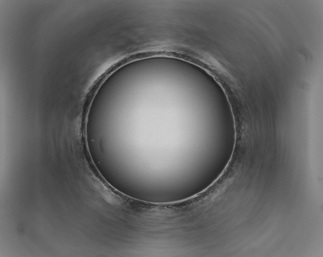 X0000112401216200908141332