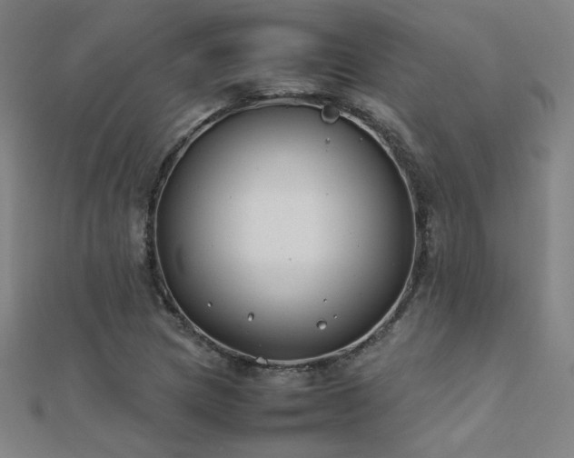 X0000112401217200908141332