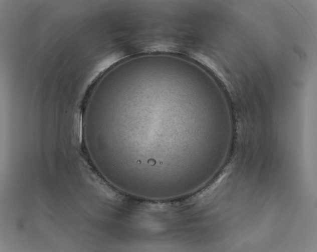 X0000112401219200908141332