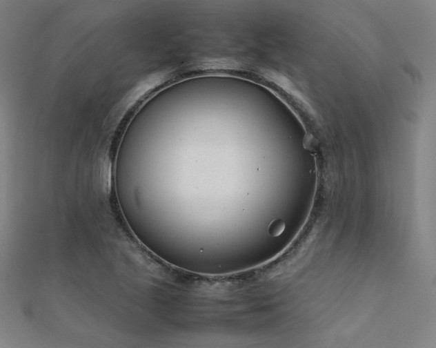 X0000112401221200908141332