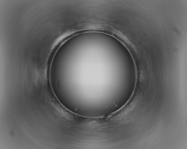 X0000112401222200908141332