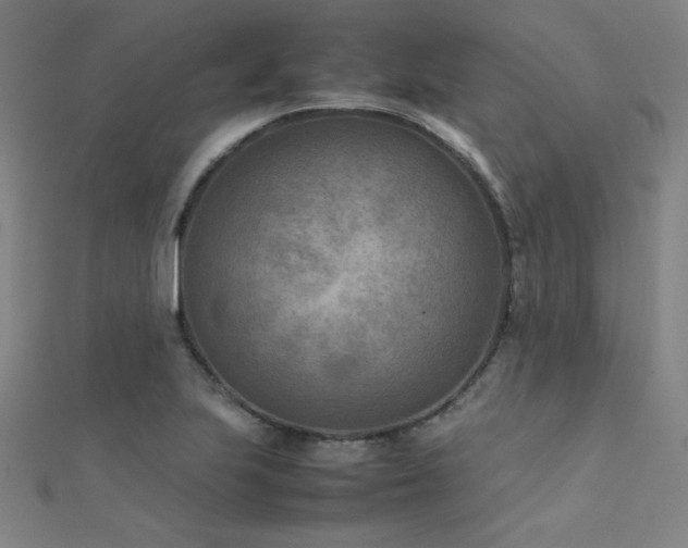 X0000112401223200908141332
