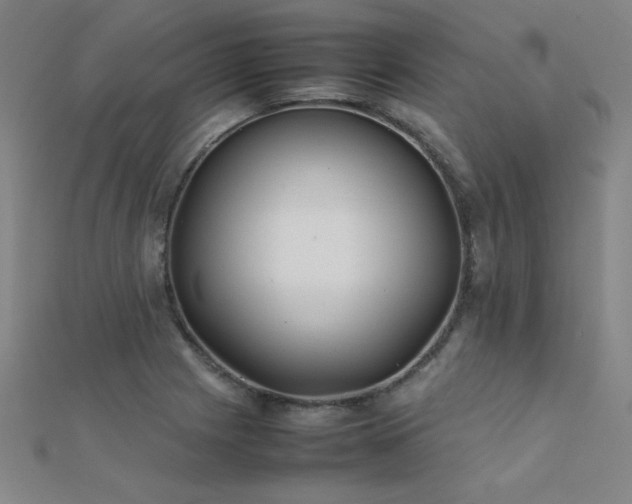 X0000112401225200908141332