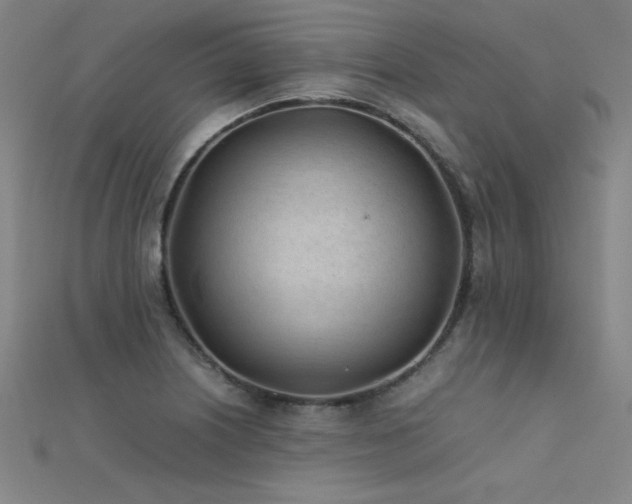 X0000112401226200908141332