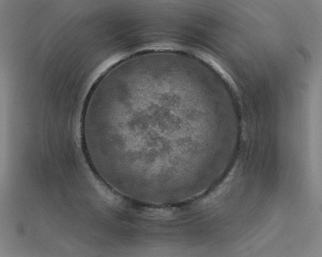 X0000112401229200908141332