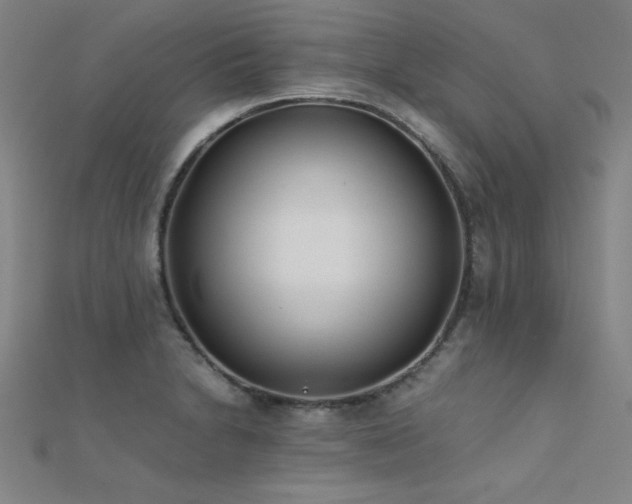 X0000112401230200908141332