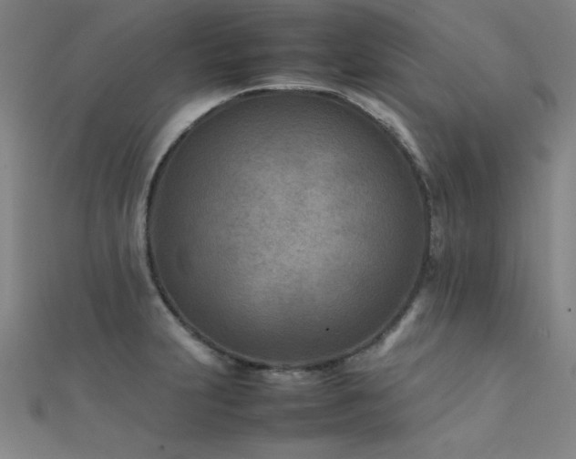 X0000112401231200908141332
