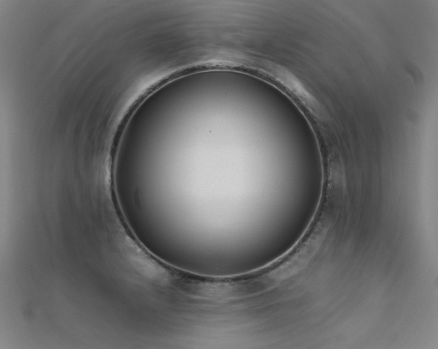 X0000112401232200908141332
