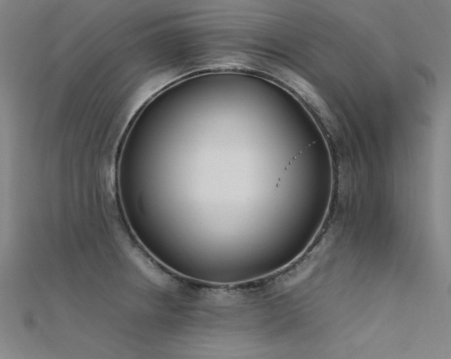 X0000112401234200908141332