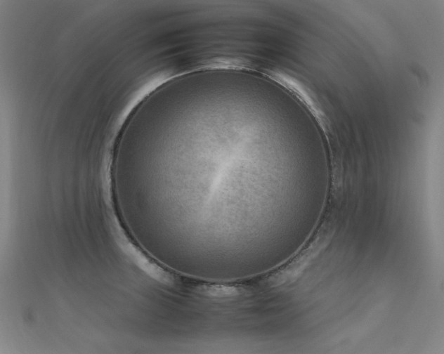 X0000112401235200908141332