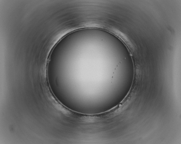 X0000112401236200908141332