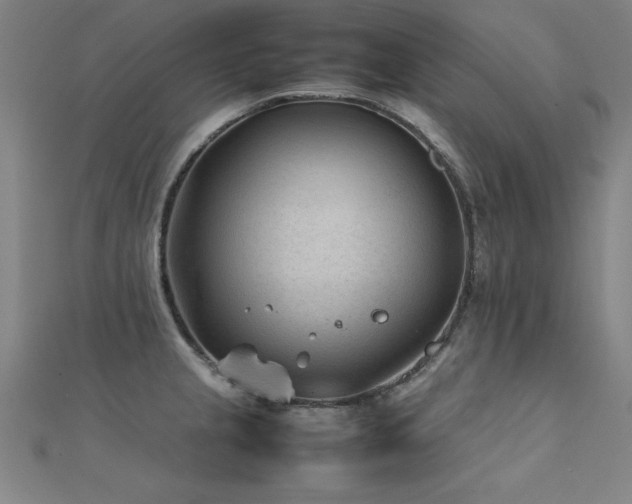 X0000112401237200908141332