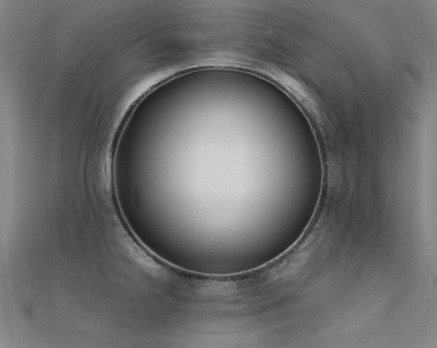 X0000112401238200908141332