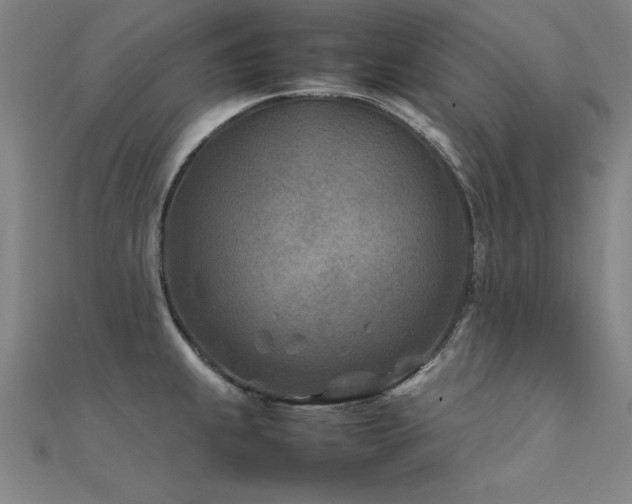 X0000112401239200908141332