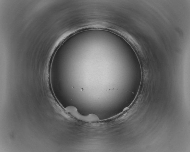 X0000112401240200908141332
