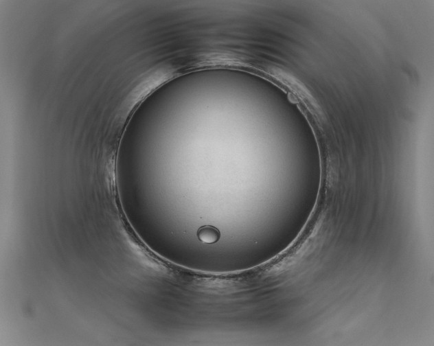 X0000112401241200908141332