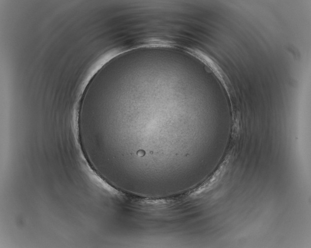 X0000112401243200908141332