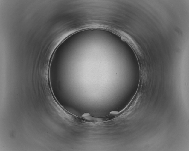 X0000112401244200908141332