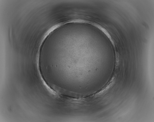 X0000112401245200908141332