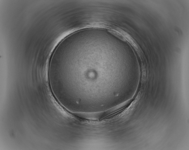 X0000112401246200908141332